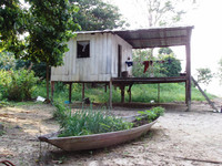  Typical homes in the remote Amazon basin of Brazil are small huts on stilts. Photo courtesy of Victor Block. 