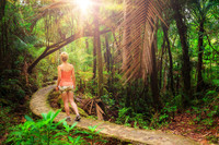  A visitor hikes through El Yunque National Forest in Puerto Rico. Photo courtesy of Dreamstime.com/Dennis Van De Water. 