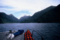 . A cruise on Doubtful Sound in Fiordland National Park, South Island, New Zealand, can yield sightings of dolphins, seals, rare yellow-crested penguins and the occasional whale. Photo courtesy of Patricia Woeber.