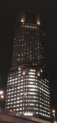  The ANA Intercontinental is one of many high-rise tower hotels in Tokyo. Photo courtesy of Phillip Courter. 