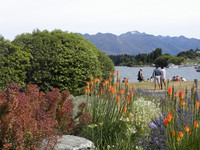  The Southern Alps loom beyond Lake Wanaka on New Zealand's South Island. Photo courtesy of Bill Neely. 