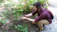  A hiker uses a Google app to identify plants at the DuPont State Recreational Forest in North Carolina. Photo courtesy of Bill Neely. 