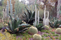  The Huntington Library in San Marino, California, houses priceless documents, photos and ephemera. Photo courtesy of Phil Allen. 