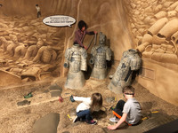  Young children can take part in an archaeological dig in the National Geographic Treasures of the Earth exhibit at the Children's Museum of Indianapolis. Photo courtesy of Ryan Winders. 