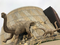  Dinosaurs appear to be crashing through the walls at the Children's Museum of Indianapolis. Photo courtesy of Ryan Winders. 