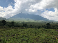  These farm fields lie in the shadow of Volcanoes National Park in Rwanda, which is home to hundreds of gorillas. Photo courtesy of Candyce H. Stapen. 