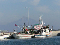 Fishing boats lie at anchor in the shadow of Mount Athos on the Greek island of Ammouliani. Photo courtesy of Elizabeth Willoughby.