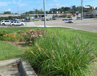 The corner where Tweedle-o-twill crashed in the movie "Thunder Road" is now the site of a shopping area. Photo courtesy of Steve Bergsman.