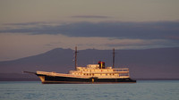 The Evolution takes travelers up-close to the animals in the Galapagos Islands. Photo courtesy of Philip Courter.