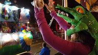 Revelers reach for beads at the Mardi Gras parade in Lafayette, Louisiana. Photo courtesy of Jim Farber.