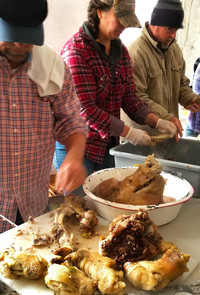 A traditional part of celebrating Mardi Gras in Louisiana's Cajun Country is butchering a hog in the morning and feasting on it that evening. Photo courtesy of Jim Farber.