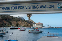 The art deco casino in Avalon on Catalina Island, California, remains the town's most iconic landmark. Photo courtesy of Kitty Morse.
