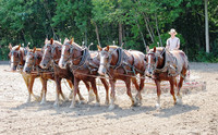  A young Amish man plows a field in Intercourse, Pennsylvania. Photo courtesy of Victor Block. 