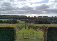 The original vineyard at Hambledon Vineyards, the UK's first commercial vineyard, is the only gravity-fed winery in the country. Photo courtesy of Athena Lucero.