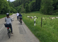  A group from a cruise ship on the Rhine River pedals through small villages, rolling hills and farms during a 26-mile e-bike trip in Germany's Black Forest. Photo courtesy of TheFiftyPluslLife.com. 