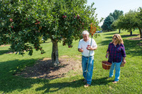 . Visitors to an orchard on the Fields of Gold Farm Train in Virginia's Shenandoah Valley have the opportunity to pick their own fruit. Photo courtesy of Victor Block.