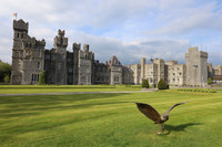 Spending a few nights at Ashford Castle in Cong, County Mayo, Ireland, brings with it being pampered in every possible way. Photo courtesy of Philip Courter.
