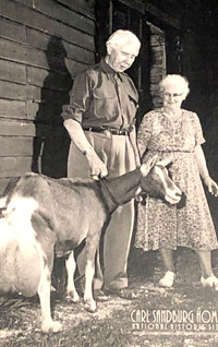  Carl Sandburg's wife, "Paula," raised goats at Connemara, the couple's home in Flat Rock, North Carolina. Photo courtesy of Bill Neely. 