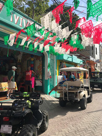  Festive flags adorn a local market in Isla Mujeres, Mexico. Photo courtesy of Lesley Sauls. 