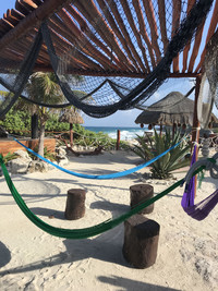  A web of hammocks behind a windbreak of local shrubs on Isla Mujeres, Mexico is an excellent spot to hide away with a good book and refreshing beverage. Photo courtesy of Lesley Sauls. 