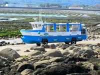  Ile Tatihou's ferry is a boat when the tide is in and a bus when the tide is out on the northeastern coast of Cotentin Peninsula in La Manche County, Normandy, France. Photo courtesy of Patricia Woeber. 