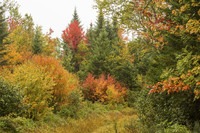 The fall foliage alone is reason enough to visit Rangeley, Maine. Photo courtesy of Jeffrey Halcombe/Dreamstime.com.