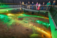 The Hagood Creek Petroglyph Site in South Carolina offers a light show to describe the markings and tell the story of their discovery. Photo courtesy of Discover South Carolina.