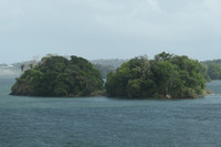 Former hilltops are now islands in the Panama Canal's massive mid-passage Gatun Lake. Photo courtesy of Barbara Selwitz.