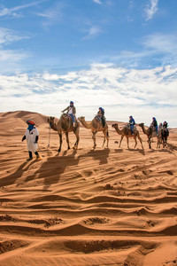 Members of an Overseas Adventure Travel tour group travel by camel in Morocco. Photo courtesy of Grand Circle Corp.