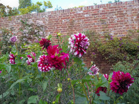 The 10 garden rooms at Sissinghurst Castle Garden in Kent , England, burst with colorful blossoms. Photo courtesy of Athena Lucero.