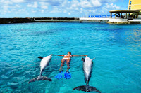 A trainer demonstrates "sunbathing" with dolphins at the Dolphin Academy, Curacao Sea Aquarium. Photo courtesy of Dolphin Academy.