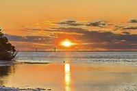  The sun rises over Anne's Beach in the Florida Keys. Photo courtesy of Ivan Richman/Dreamstime.com. 