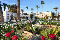  Resorts such as The Wigwam in Litchfield Park, Arizona, often delight guests with beautiful gardens. Photo courtesy of The Wigwam. 