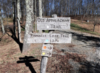  Forest trails at Primland, a resort in Meadows of Dan, Virginia, invite visitors to take a hike. Photo courtesy of Victor Block. 