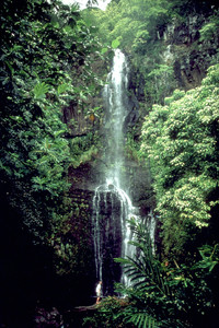  A waterfall on the Hana Highway on the island of Maui in Hawaii surprises and delights passersby. Photo courtesy of Victor Block.  