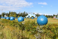 A geodesic dome billed as "the world's largest blueberry" and giant blueberries in a field welcome visitors to the bakery and theme park at Wild Blueberry Land in Columbia Falls, Maine. Photo courtesy of Lgokapil/Dreamstime.com.