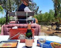  Mark Matson, co-owner of the Temecula Carriage Co. in Temecula, California, leads a horse-drawn wine tour. Photo courtesy of Jim Farber. 