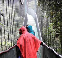 Visitors to the Costa Rica's Monteverde Cloud Forest cross a hanging bridge for a better view of the spectacle below them. Photo courtesy of Victor Block.