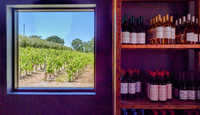  A window in the tasting room at the Austin Hope Winery looks out over the vineyard. Photo courtesy of Jim Farber. 