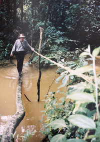  A fallen tree and a vine help Bill Neely cross raging floodwaters near the Tambopata Research Center in Peru. Photo courtesy of Bill Neely. 