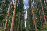  California's Yosemite National Park has many waterfalls, but Yosemite Falls is the most spectacular. Photo courtesy of Visit Yosemite-Madera County. 