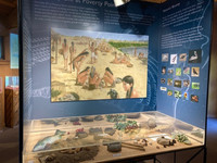Exhibits at the museum in Louisiana's Poverty Point State Park describe the civilization that once lived here. Photo courtesy of Bill Neely.