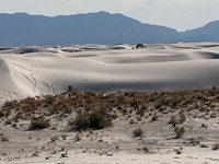  New Mexico's Alamogordo White Sands National Park is the largest gypsum field in the world. Photo courtesy of Bill Neely. 