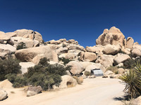  Visitors find a secluded camping spot in California's Joshua Tree National Park. Photo courtesy of Bill Neely. 