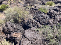  Various types of lava make up the unusual landscape at the Valley of Fires Recreation Area near Carrizozo, New Mexico. Photo courtesy of Bill Neely. 