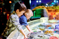  Children interact with sea creatures at the aquarium in the Mall of America near Minneapolis, Minnesota. Photo courtesy of Mall of America. 