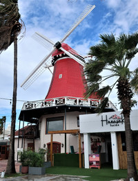  The Old Windmill in Aruba was first built in the Netherlands, then taken apart and reassembled in Aruba. Photo courtesy of Victor Block. 