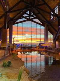 The Gaylord Rockies is a good place to stay en route from Denver to Breckenridge, Colorado. Photo courtesy of Margot Black.