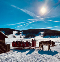 Visitors to Keystone, Colorado, have the option of enjoying a sleigh ride through the snow. Photo courtesy of Margot Black.