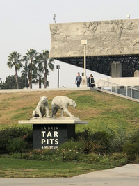  The museum at the La Brea Tar Pits in Los Angeles, California, contains instructional exhibits about animal life in prehistoric times. Photo courtesy of Bill Neely. 